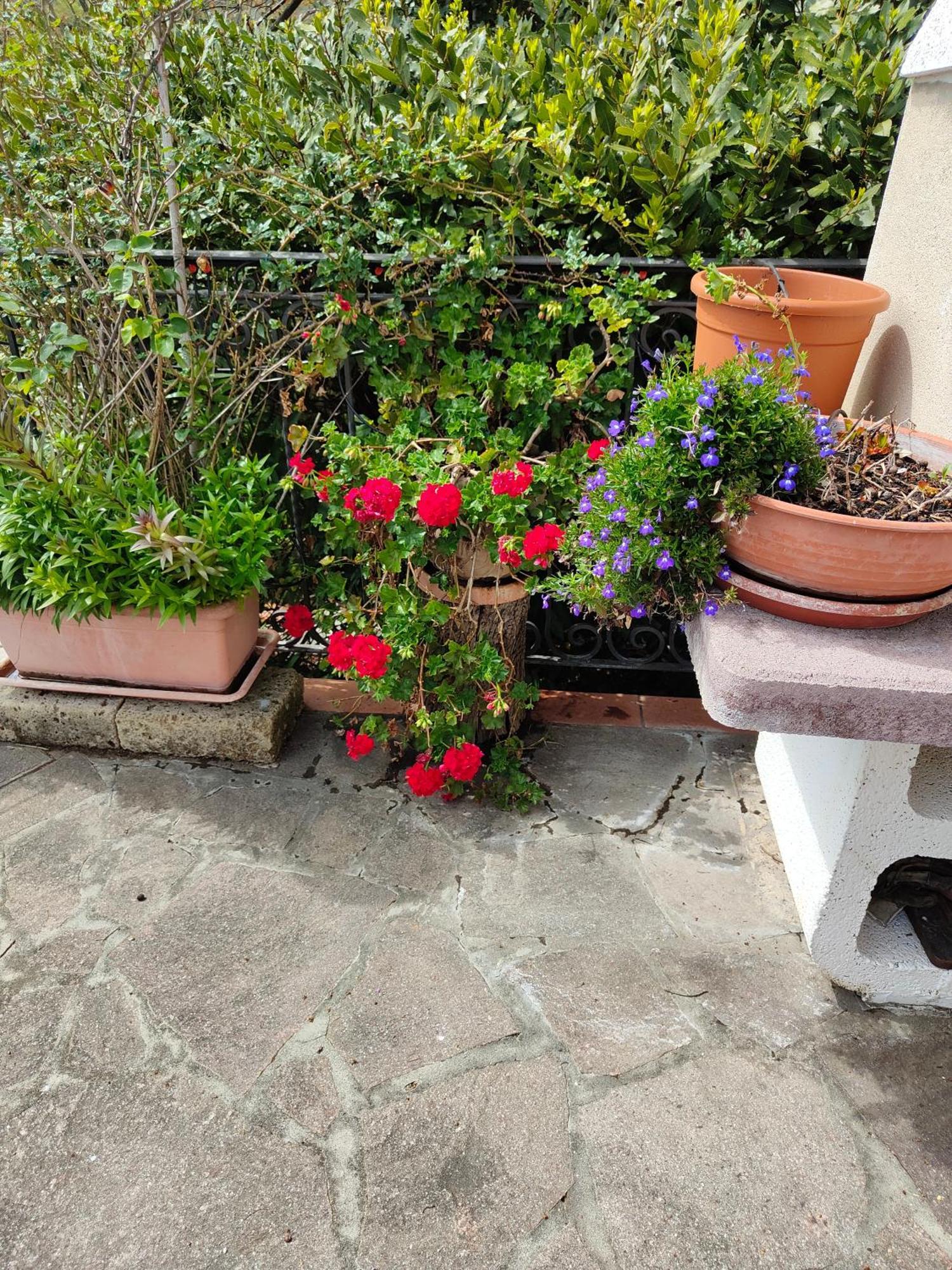 Il Diacciarello Apartment Gabbro Exterior photo